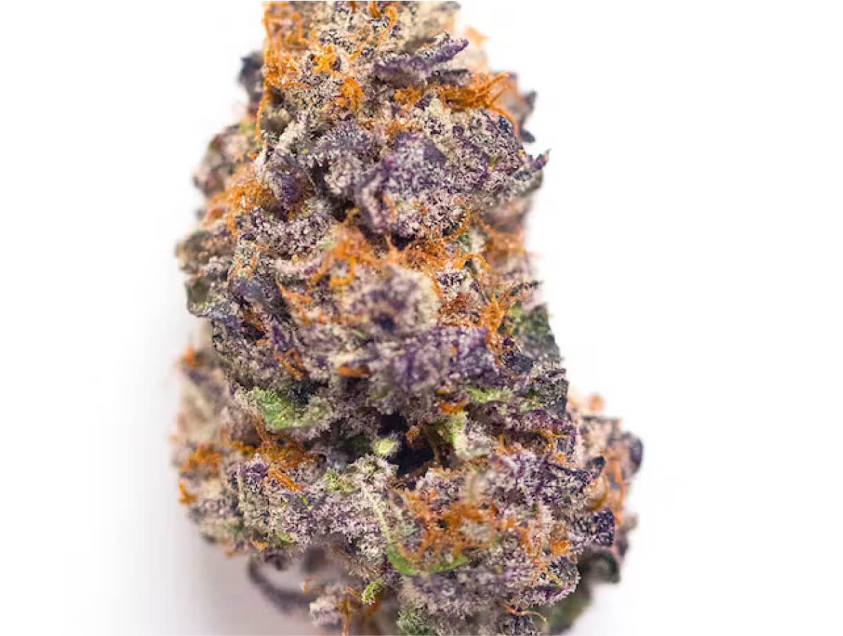 Modified Grapes Indica-Dominant Hybrid